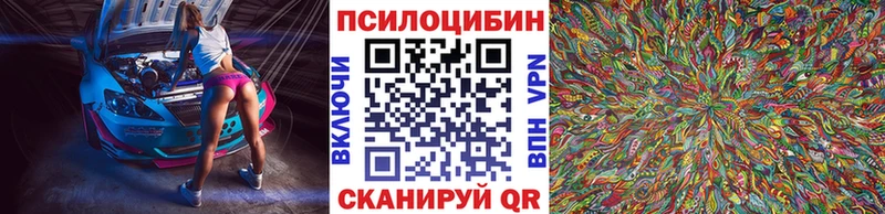Купить закладки  Калтан  Галлюциногенные грибы Psilocybine cubensis 